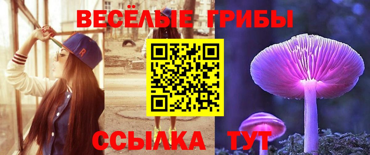 Изобильный  Галлюциногенные грибы мицелий  Вход с VPN  Галлюциногенные грибы Cubensis 
