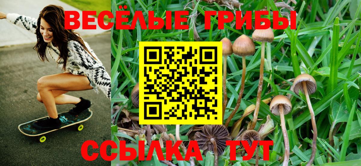 Псилоцибиновые грибы мицелий Изобильный